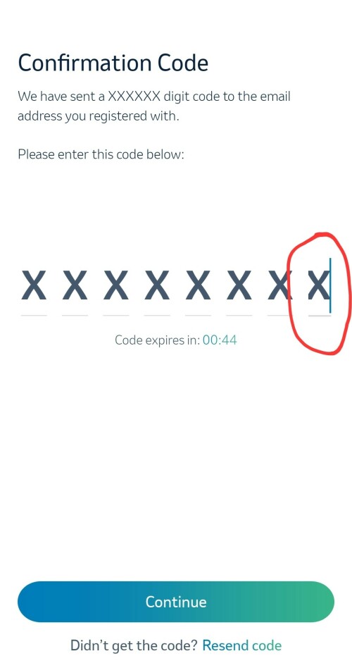 384.jpg