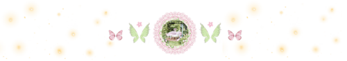 image8fda96b503cb4996.png