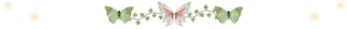 imagec26280cc5ab92518.png