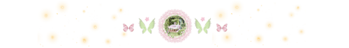 imaged3afad145d453f95.png