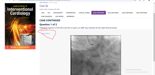 case-42.png