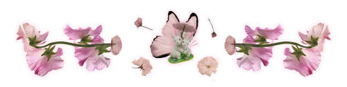 image9d118538102faafd.png
