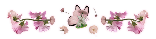 imagec17ffb49950bc82b.png
