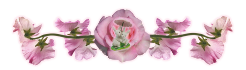 imagede938eb0b7354bd5.png