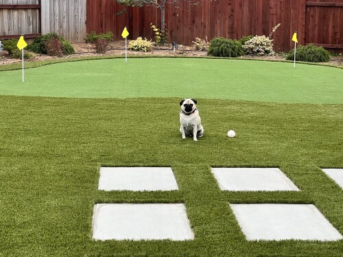 Artificial-Grass-Installation-Henderson.jpg