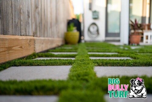 Pet-Turf-Henderson.jpg