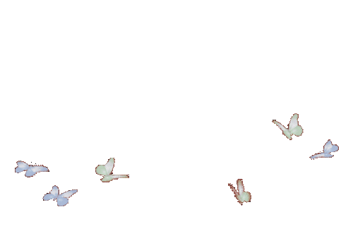 491e8249887be2a4550b47b2a6c7de10.gif