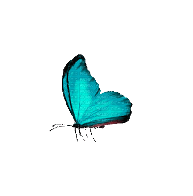 953382_7d1b9.gif