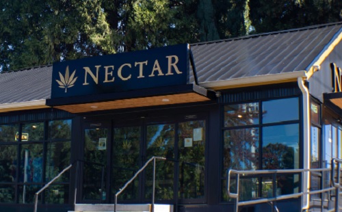 Nectar---Img-4.jpg