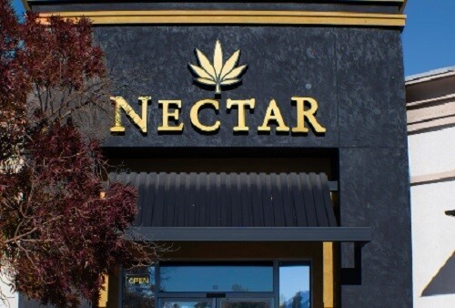 Nectar---Img-5.jpg