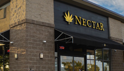 Nectar---Img-6.jpg