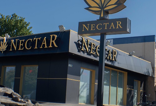 nectar---Img-8.jpg