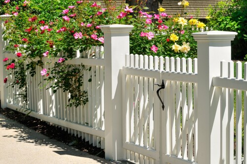 Fence-Contractor.jpeg