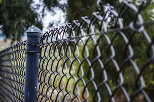 Wood-Fence.jpeg