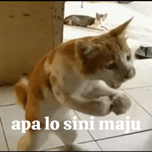 image953252ab4f5568da.png