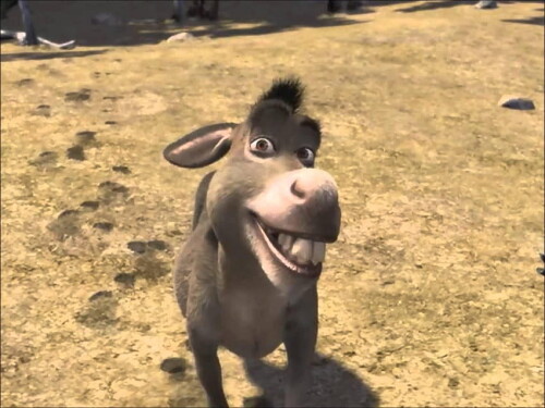 desktop-wallpaper-donkey-shrek-donkey.jpg
