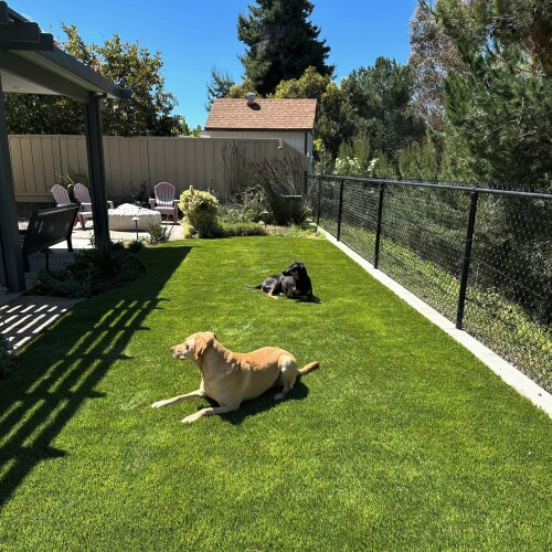 Hardscaping-Irving.jpg