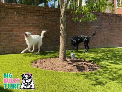 Put-Turf.jpg