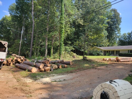 Emergency-Tree-Removal.jpg