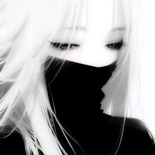 image24fbdd3a3537a5fe.jpg