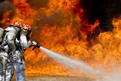 Chief-Fire-Warden-Training.jpeg