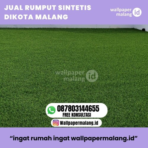 JUAL-RUMPUT-SINTETIS-DIKOTA-MALANGG.jpg