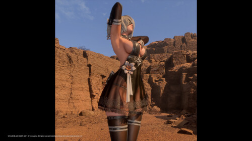 tmoti_6JyAgKC-compressed.jpg