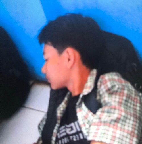 imagecfcbc5a13d31ab29.jpg