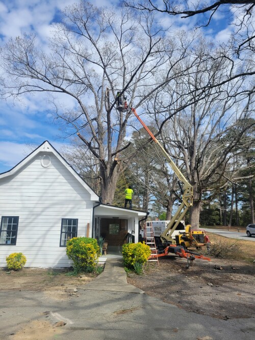 Tree-Removal-Service-Grayson.jpg