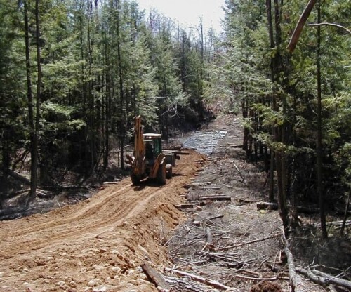 Low-Impact-Logging-Naples-NY.jpg