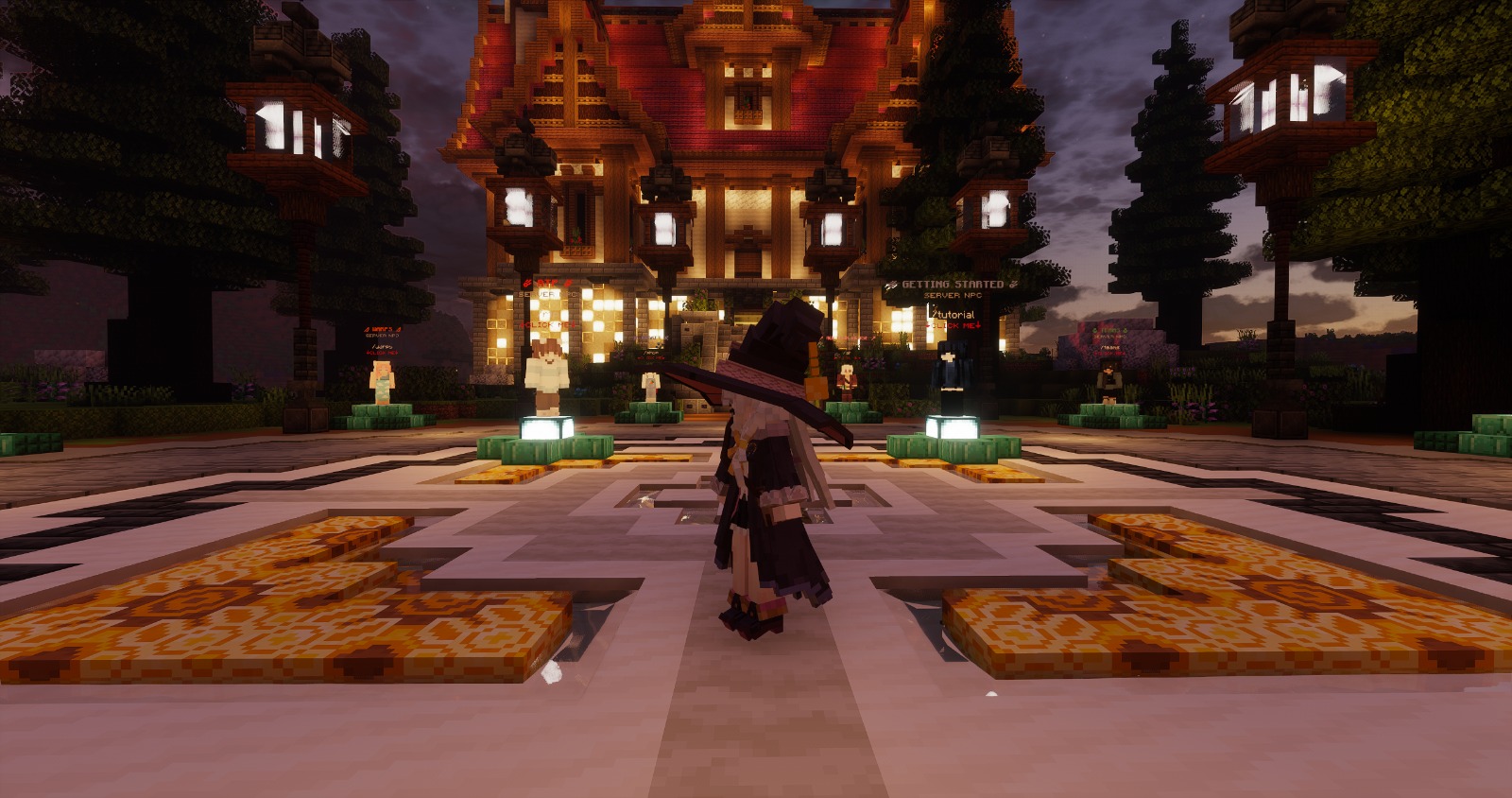 Server Image 4