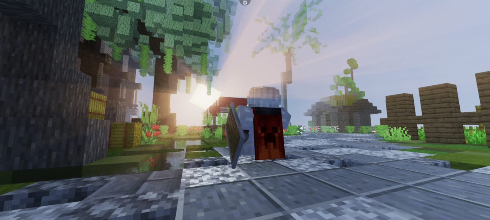 Server Image 3