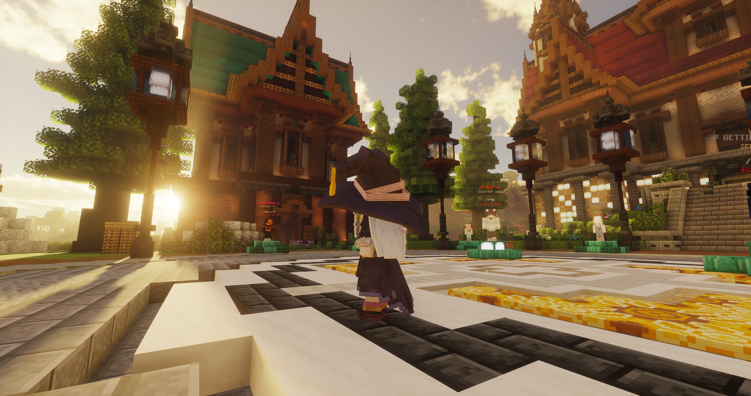 Server Image 2
