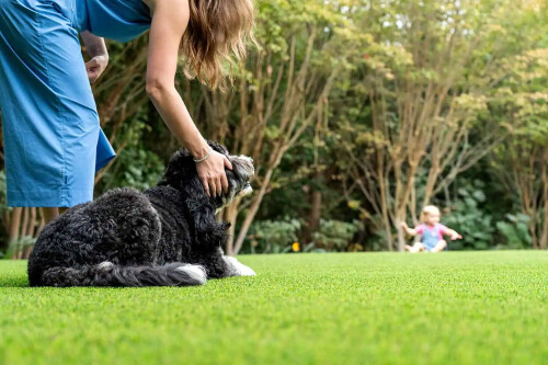 Turf-Installers-Scottsdale.jpg