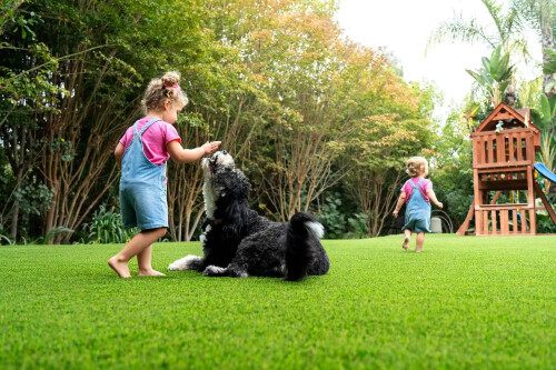 Turf-Installers.jpg