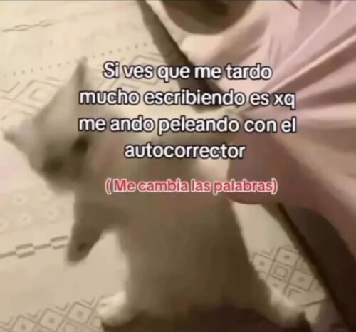 imagec32ff15c9dbd04e1.jpg
