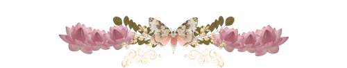 imagefc96e5a95925cf80.png