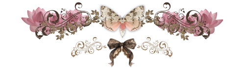 image1b1ada4460e09065.png
