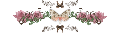 image2b18e47721126441.png