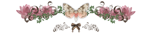 image48d0e8948283a1fc.png