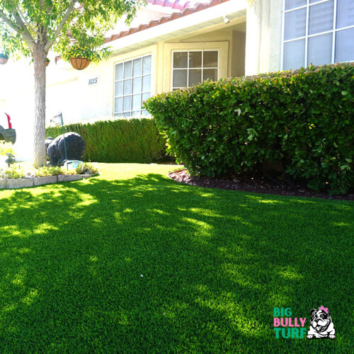 Irving-Artificial-Grass.jpg