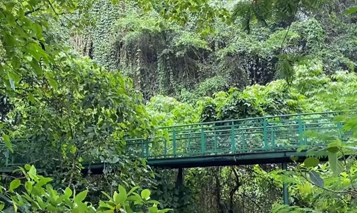 WISATA BANDUNG - Potret ruang terbuka hijau Babakan Siliwangi di Bandung, Jawa Barat, Kamis (4/12/2025). 