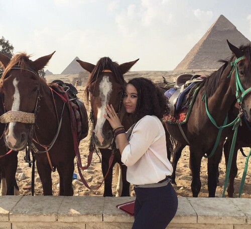 23421328 709012895958955 5278246448637411328 n