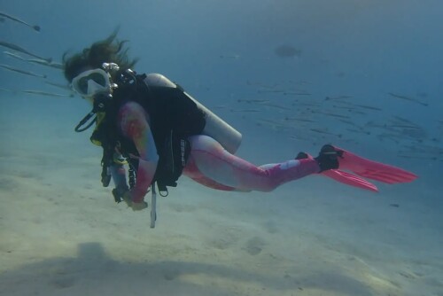 SUR DIVE447@neusgallego @mermaidprotector